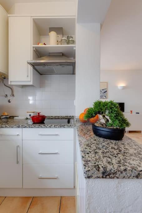 Solemar - Ocean View 1 Bedroom For 4 In Carvoeiro (Lagoa)